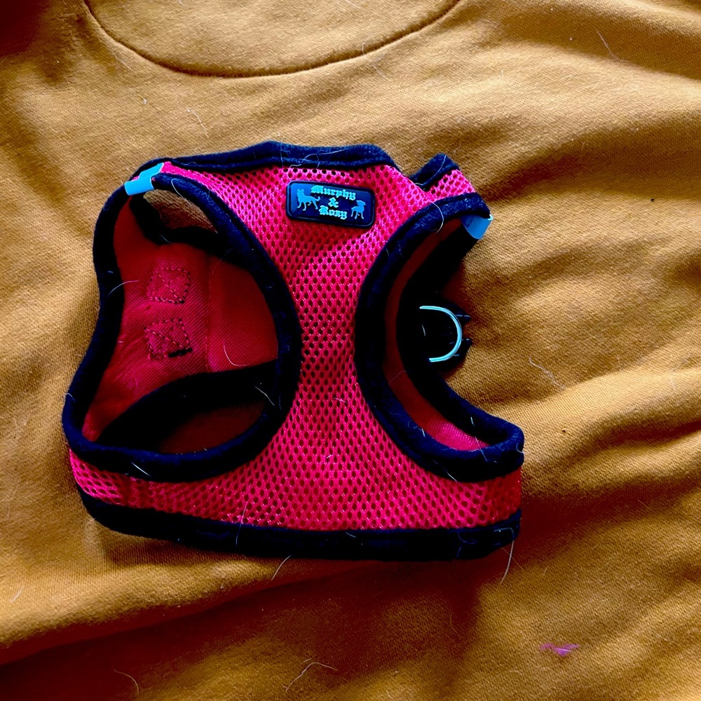 Red Doggie harness with double enforced fasteners.
